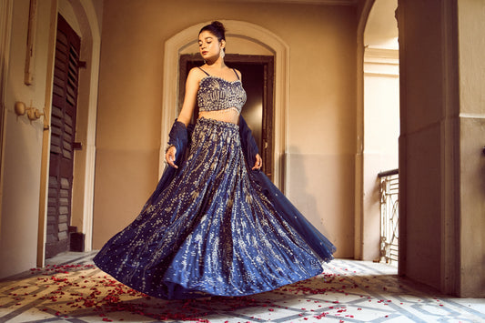 Elegant Feather Lehenga