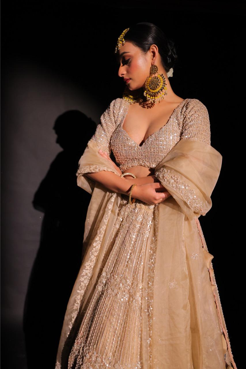 Champagne Sheen Lehenga