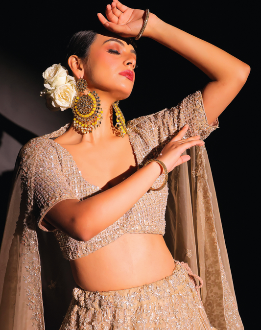 Champagne Sheen Lehenga