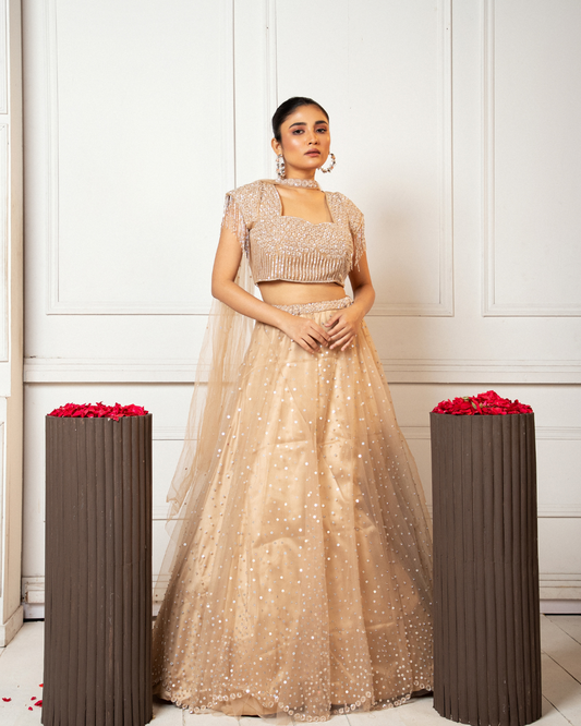 Champagne Charm Lehenga
