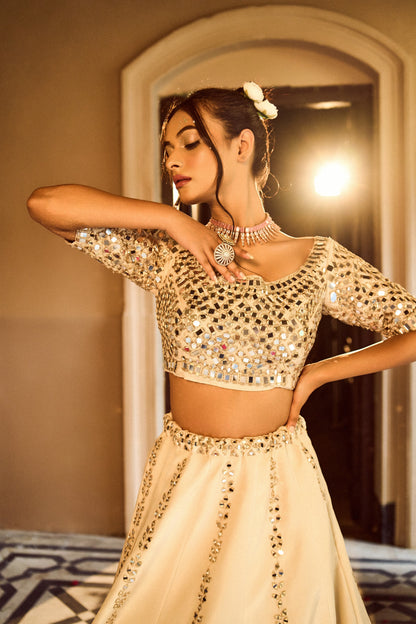 Mirror Work Lehenga