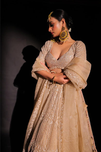 Champagne Sheen Lehenga