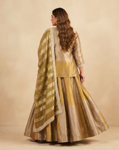 Champagne Gold Embroidered Tissue Suit Set