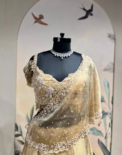Champagne Gold Kashmiri Drape Skirt & Blouse Set