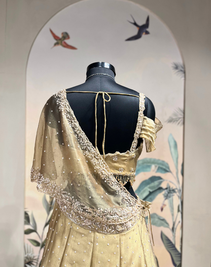 Champagne Gold Kashmiri Drape Skirt & Blouse Set