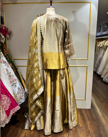 Champagne Gold Embroidered Tissue Suit Set