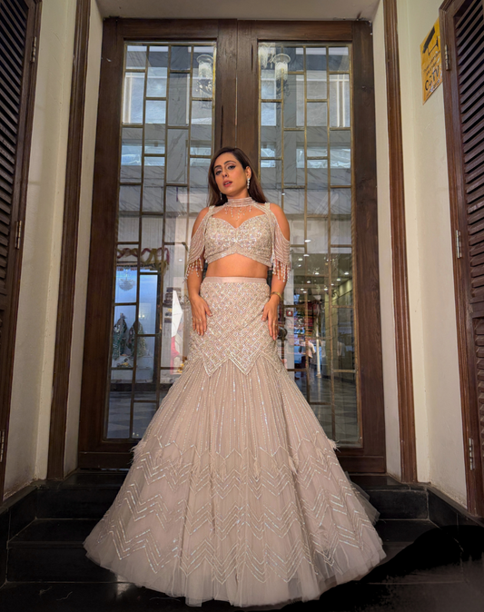 Sparkle Wave Lehenga