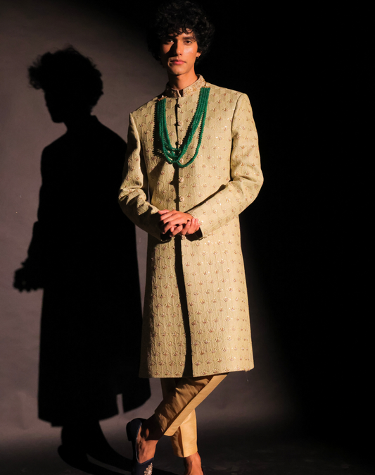 Tea Green Sherwani