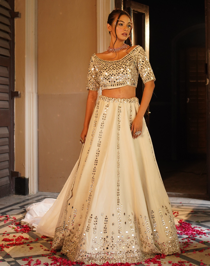 Mirror Work Lehenga